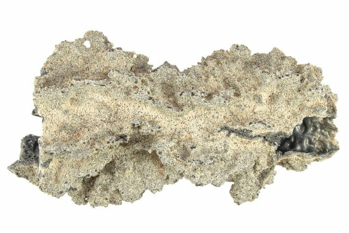 Fulgurite - Petrified Lightning #268474
